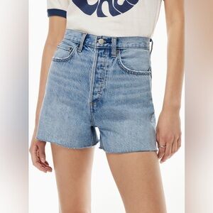 Aritzia Denim Forum The Joni Mid-Thigh Short - 29 High Rise 90s